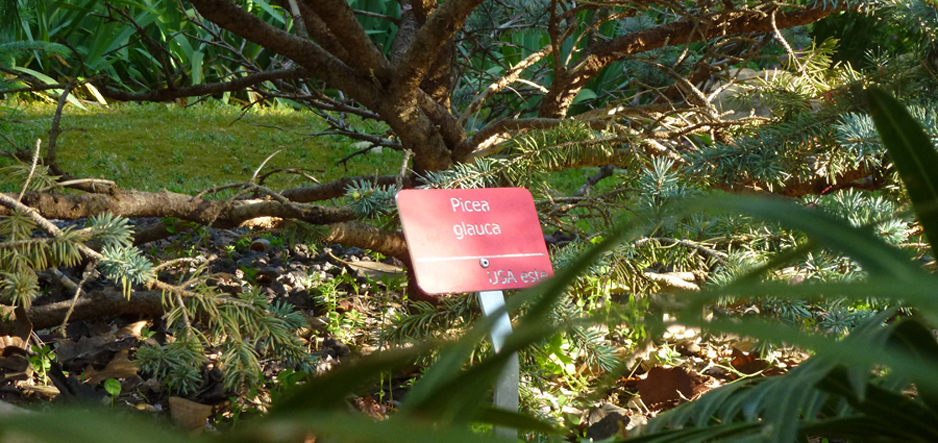 Anodized red plaque riveted to identify plants
